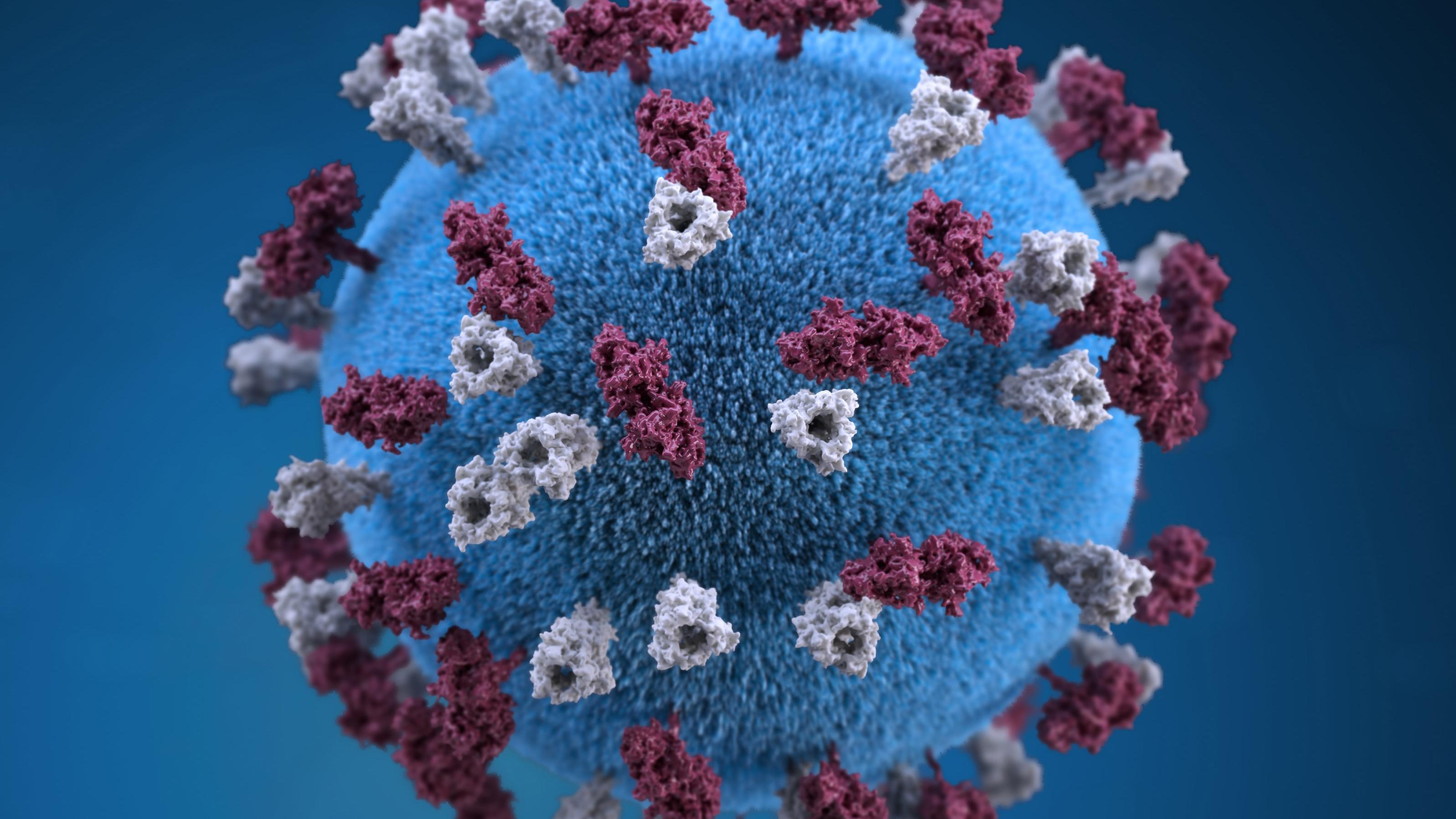Virus-Symbolbild Unsplash